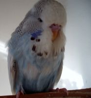 ws-babys2012.004.jpg